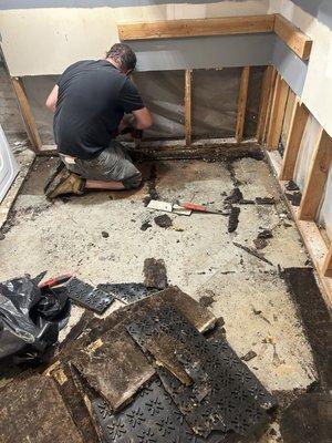 The Jack of all Trades