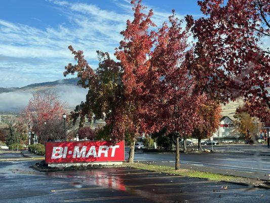 Fall foliage outside the store