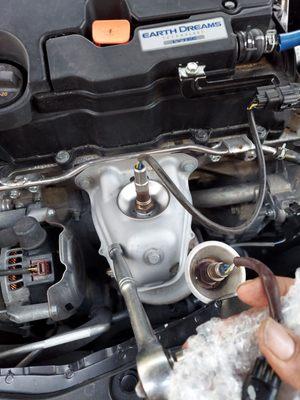 Tom's Collision Clinic