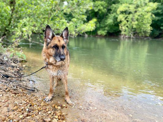 Kehrs Mill Veterinary Care