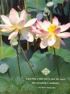 Happiness radiates like the fragrance from a flower and draws all good things towards you.