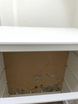 The OC Apartment Homes