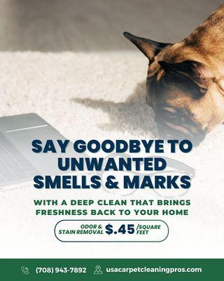 USA Carpet Cleaning Pros