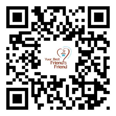 Your Best Friend's Friend Pet Care Services