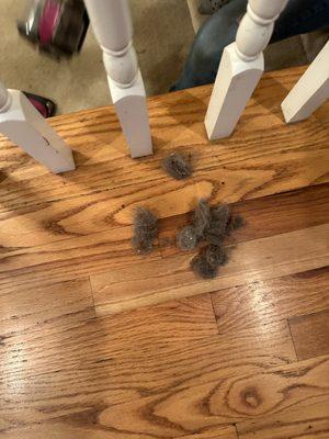 Greitzer’s Cleaning