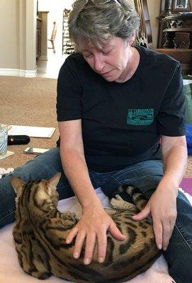 Paw & Relax Pet Massage