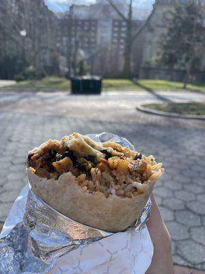 Al Pastor Burrito