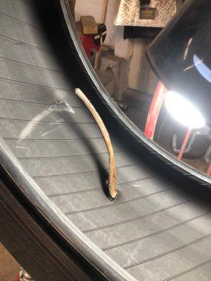 Ever had a wrench in your tire? Thanks to Mt.Bethel Auto Supply- I had a replacement in just a couple of days!