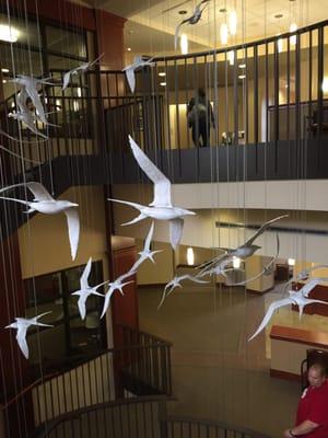 Sky Lakes Outpatient Rehabilitation