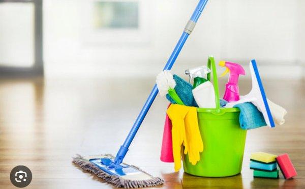 Pink Ladies Cleaning