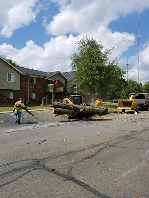 Nick's Tree Services