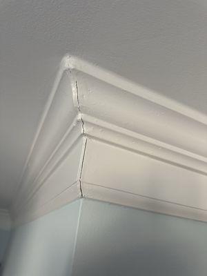 Mister Diego Painting