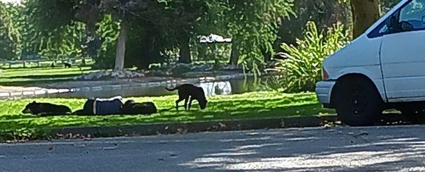 Kathryn Albertson Park