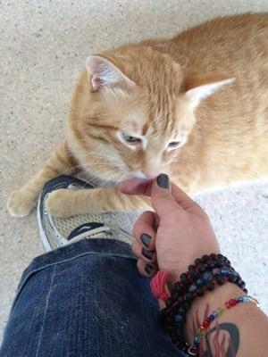 Discovery Valley Animal Hospital