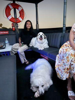 Seaforth Boat Rentals - Downtown