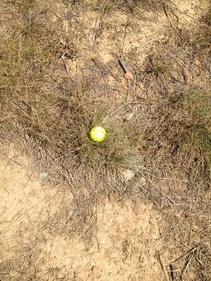 Stay on the fairways