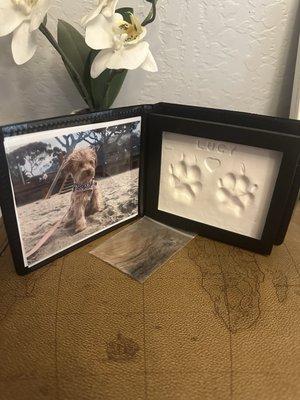 High Desert Pet Cremation