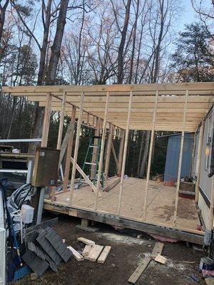 Lioness Home Improvement