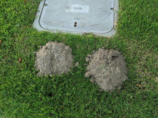 Smith's Pest Management