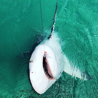 Melody Key Private Island