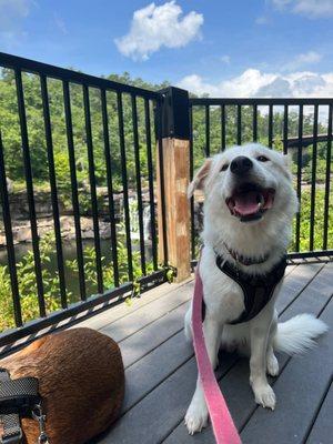 Little River Canyon National Preserve