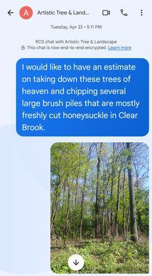 Artistic Tree and Landscape