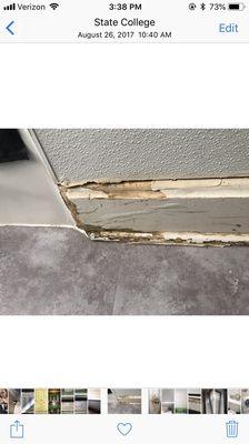 This is literally the condition of the place when we moved in