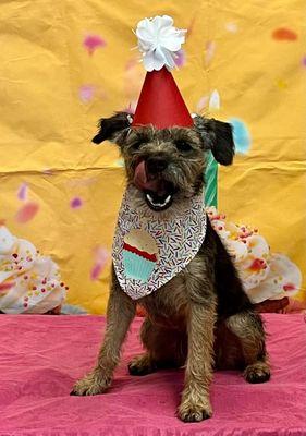 Fieldstone Animal Inn