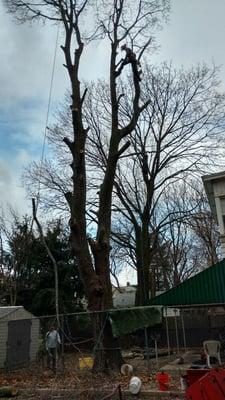 Do It all General Contracting and Tree Care