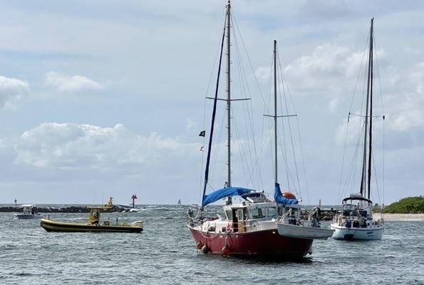 So cool! We were so close to them.... Love the ocean! Jet skis are a must have. So much fun!!! :)))) I'm burnt!