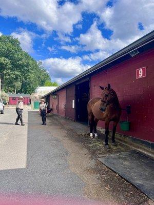 City of Boston Parks & Recreation Maintenance Yard