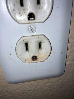 Monarch Property Management & Realty