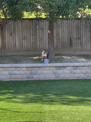 Hillside Nursery & Landscaping