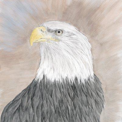 Watercolors By George