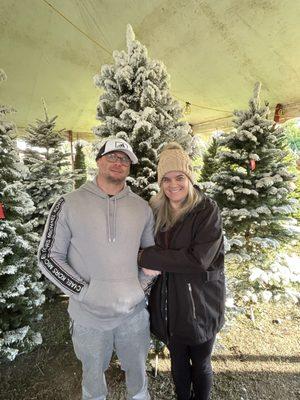 Northwood Christmas Trees