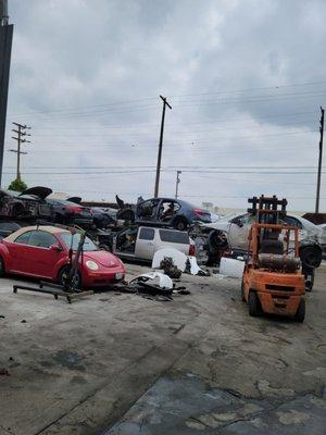 Downtown Auto Dismantlers