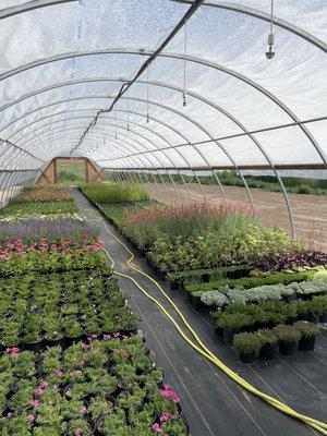 Grey Hawk Greenhouse & Farm