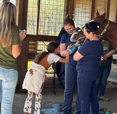 Bryant Manor Equestrian Center