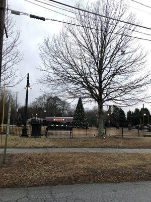 Holiday trees near downtown.