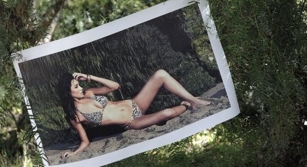 Thank you AVA Resort and Swimwear for allowing us to print your show room's canvas displays.