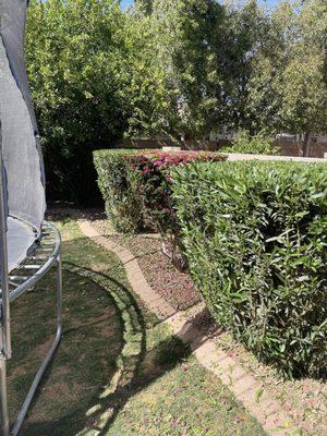 JG Landscaping Service