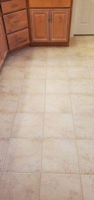 Exquisite Carpet Cleaning