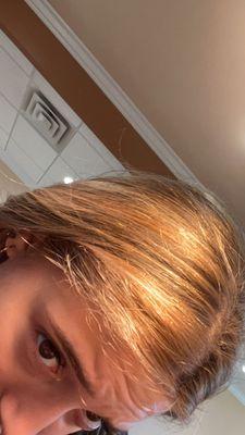 Sola Salons Royal Oak