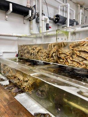 Longs Seafood Market