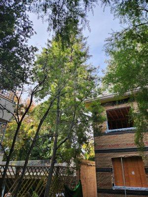 Superior Construction of Golden State