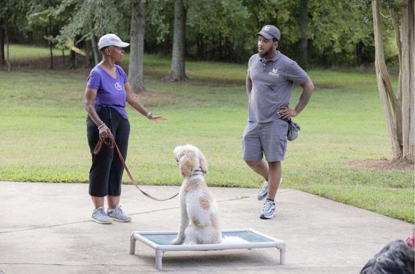 Merritt Dog Training