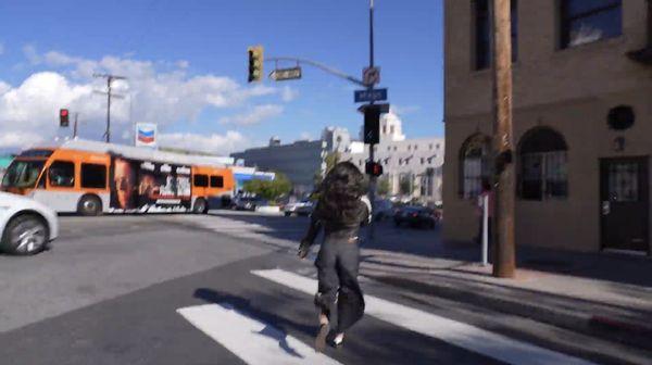 me looking for the avocados like