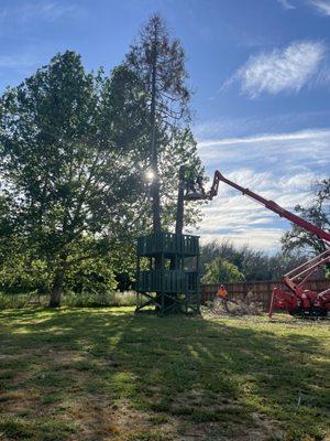 Crosscut Tree Service