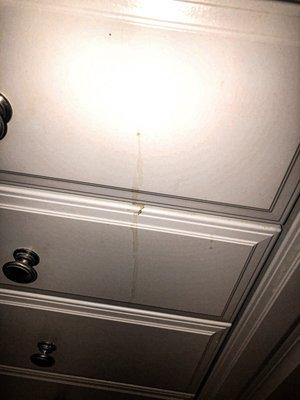 Stains everywhere on carpets and furniture