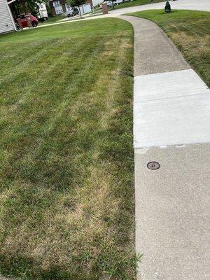 Just some of the areas they destroyed, pic taken after I cut the grass